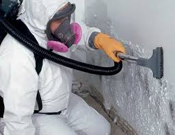 Best Comprehensive Air Testing for Mold Contaminants  in Lodi, NJ